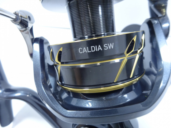 22カルディアSW 6000D-H
